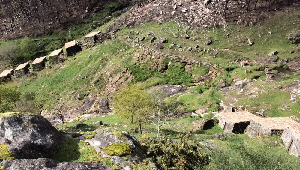Imagen de los molinos