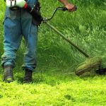 Prohibida durante 13 años, esta herramienta de jardinería sigue utilizándose en hogares españoles