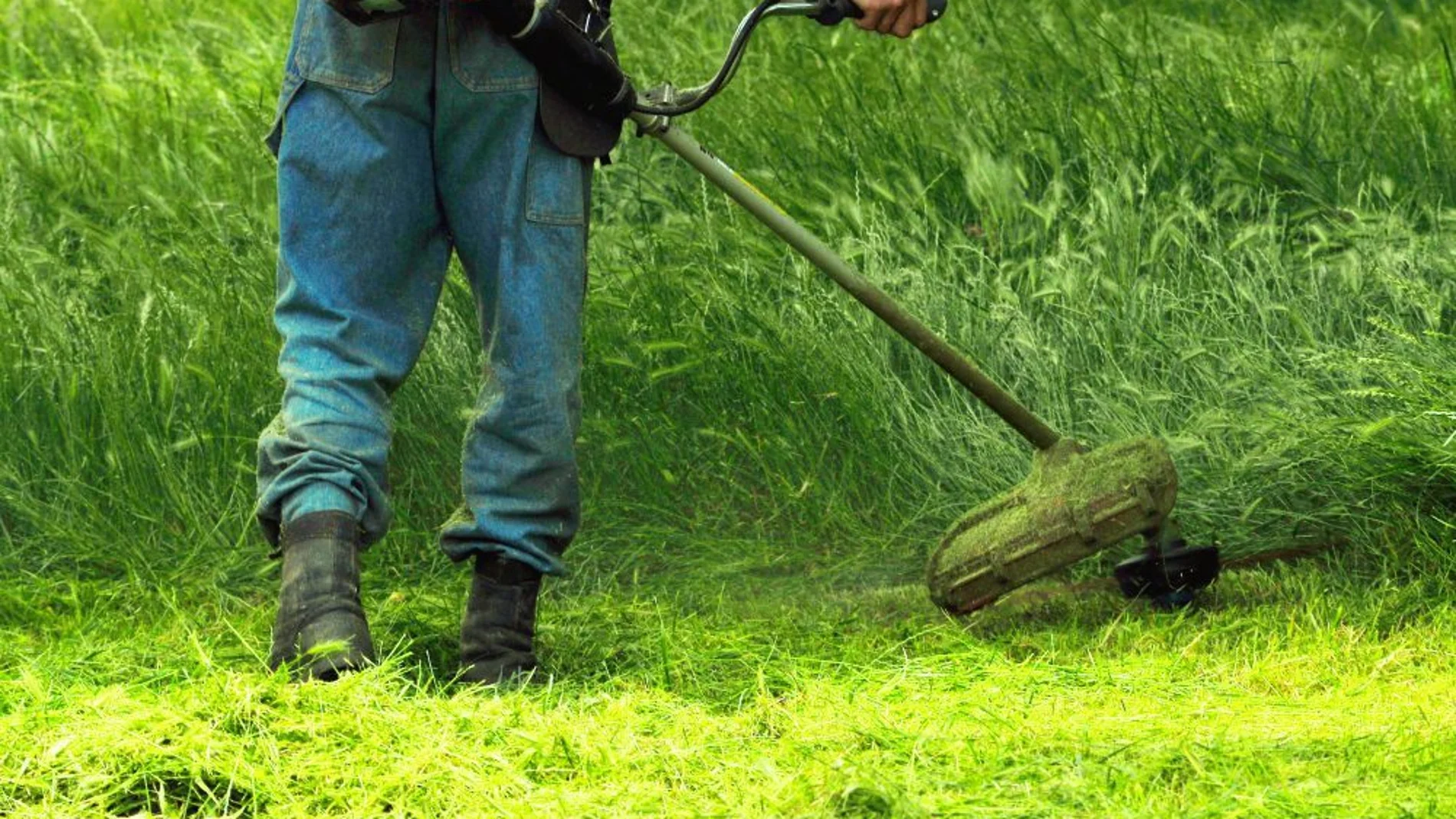 Prohibida durante 13 años, esta herramienta de jardinería sigue utilizándose en hogares españoles