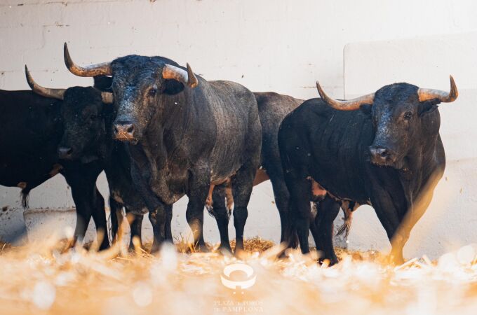 Del encierro exprés a un cartel de altura: estos son los toros que echan el cierre a San Fermin