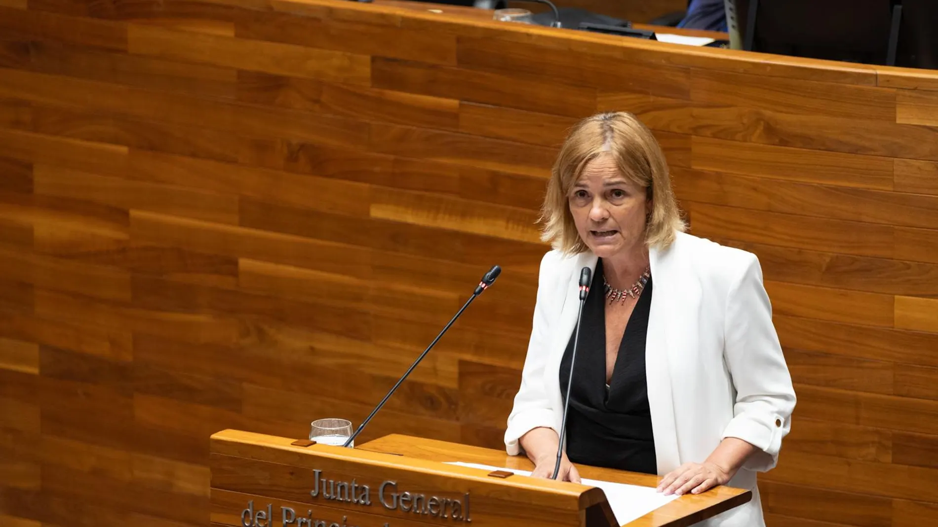 Tomé alerta de la "turistificación" de Asturias y pide un plan de gestión urgente