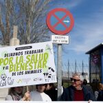 El Senado suprime el acuerdo entre PSOE y ERC para flexibilizar la dispensación de antibióticos por los veterinarios