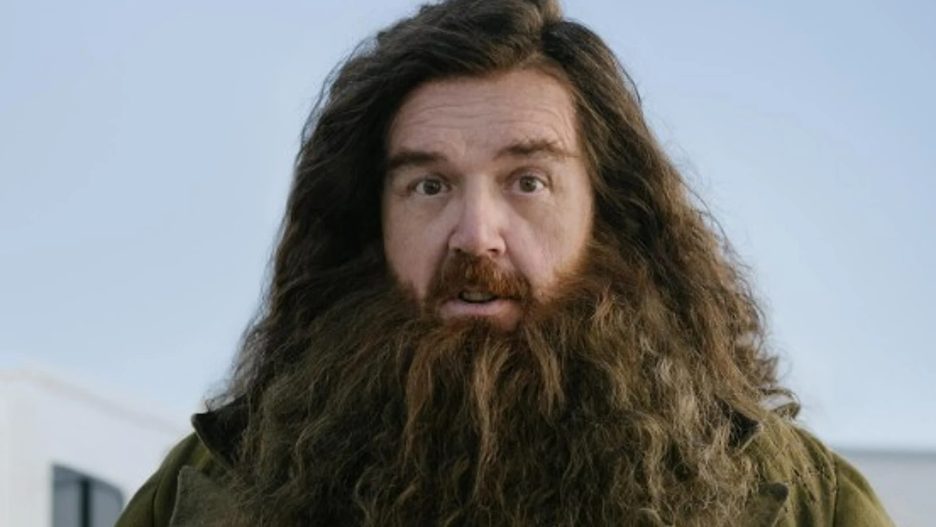 Nick Frost caracterizado como el profesor Rubeus Hagrid