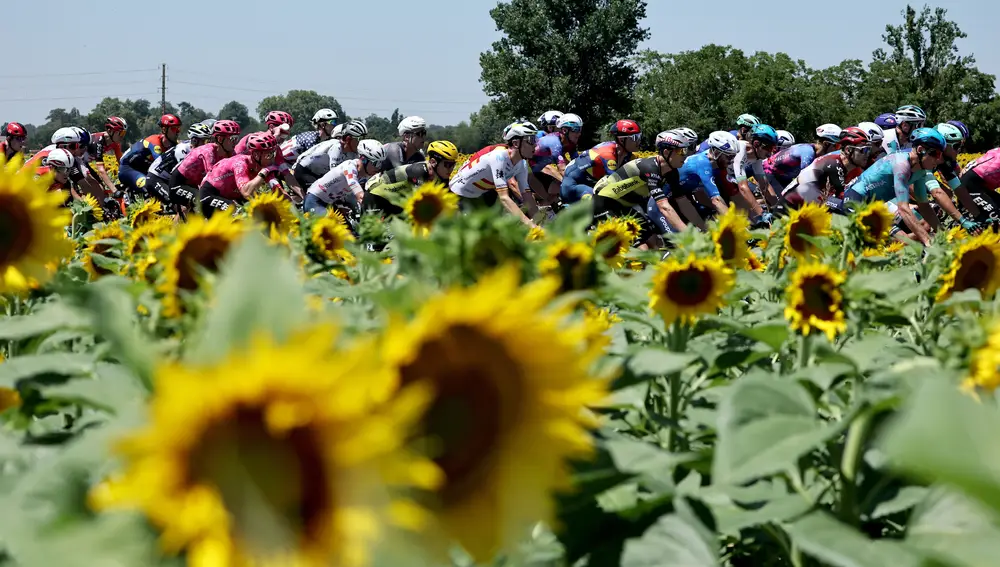 Tour de France 2025 - Stage 11