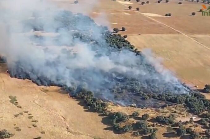 Incendio en Calera y Chozas (Toledo)
