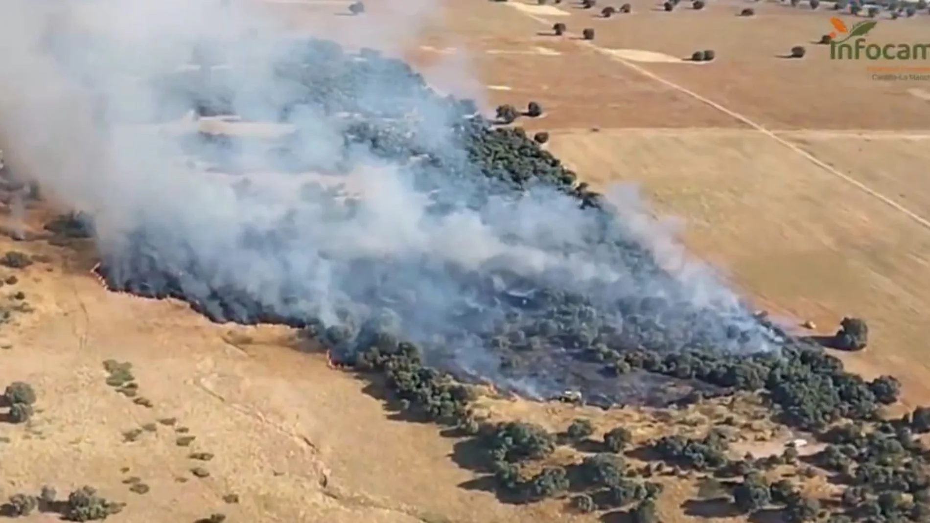 Incendio en Calera y Chozas (Toledo)