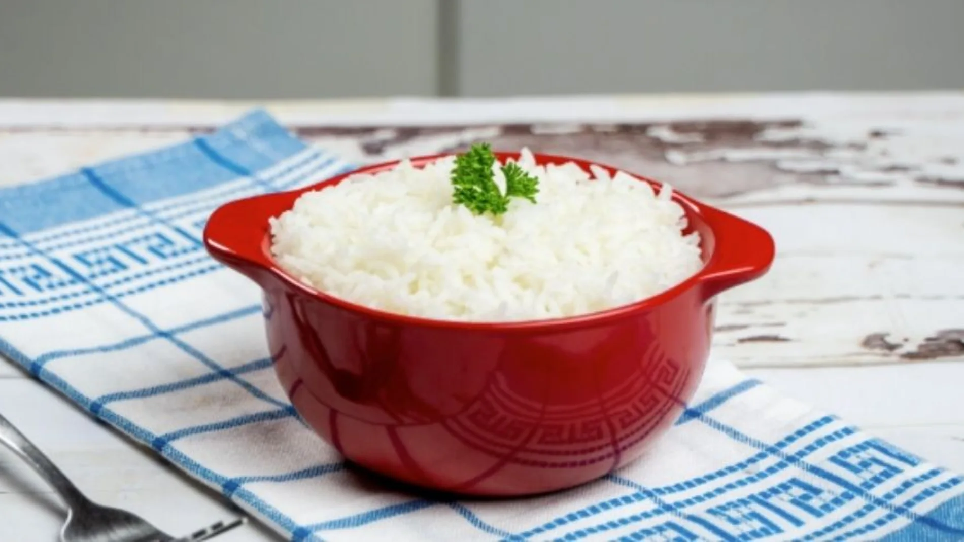 arrocera de Russell Hobbs