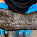 No paran de aparecer sandalias romanas gigantescas, pero los romanos eran pequeños: es un misterio