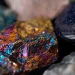 Cava para plantar un árbol y descubre piedras fluorescentes: “el museo se llevó todo sin compensación”