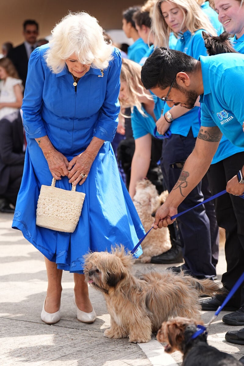 La reina Camilla inaugura un jardín canino en un refugio de animales en Londres