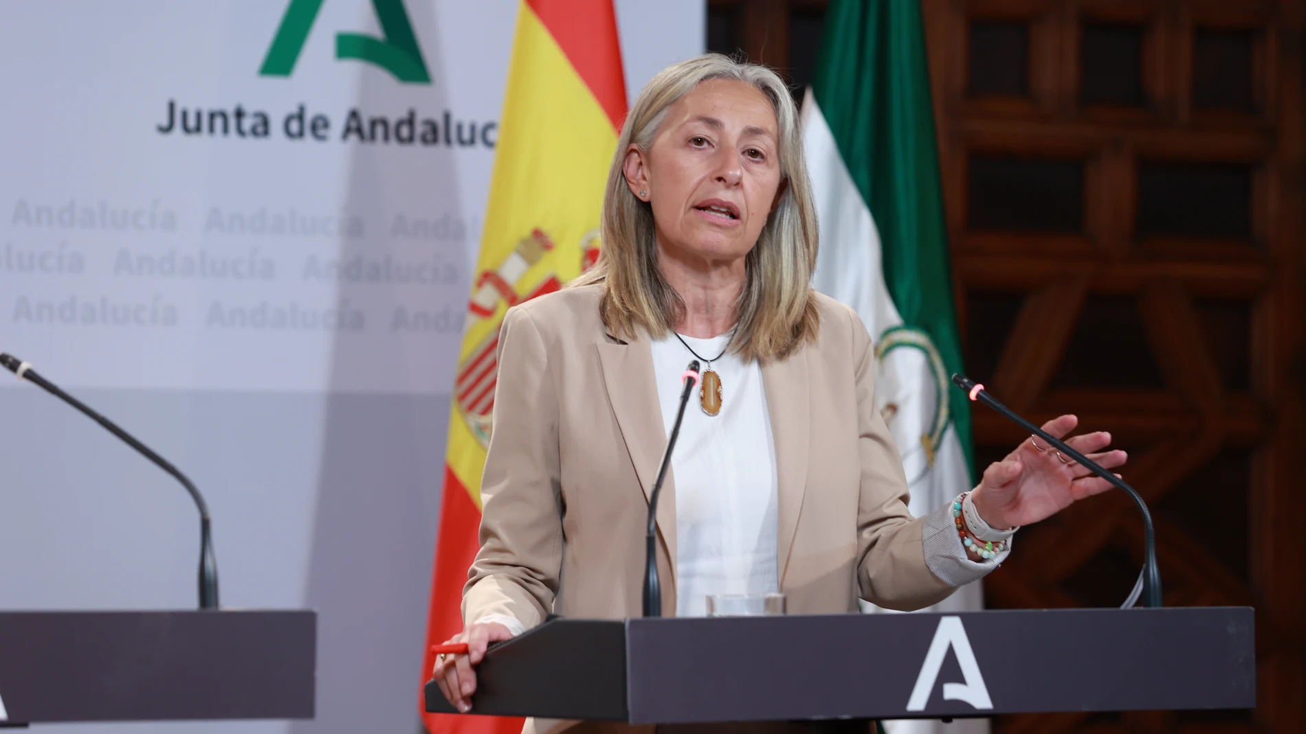 La consejera de Salud y Consumo, Rocío Hernández, durante la rueda de prensa posterior al consejo de Gobierno de la Junta de Andalucía. A 16 de julio de 2025, en Sevilla (Andalucía, España). La consejera de Salud y Consumo de la Junta de Andalucía, Rocío Hernández, ha destacado este miércoles que el Plan de Garantía Sanitaria, puesto en marcha por la Consejería en febrero de 2024, ha logrado reducir en casi un 60%, concretamente un 57%, la lista de espera para un procedimiento quirúrgico gar...