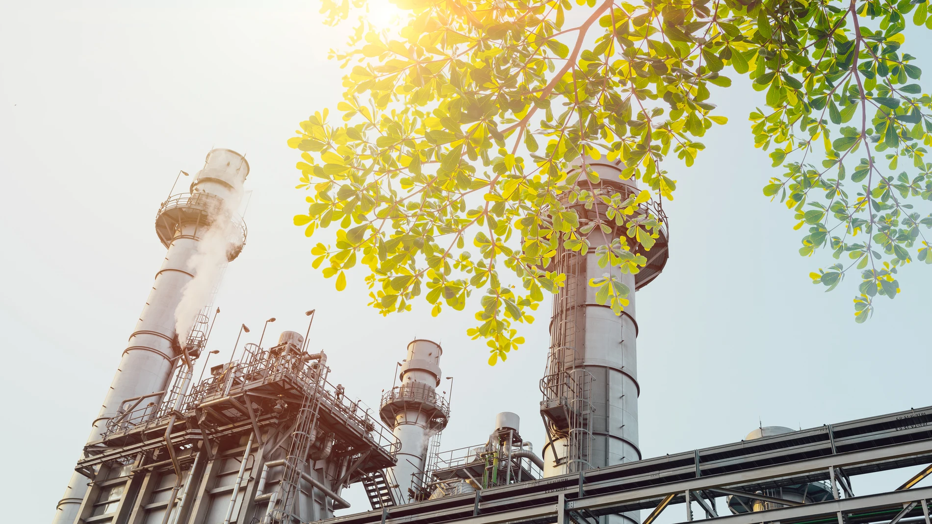 competitividad europea y la industria limpia