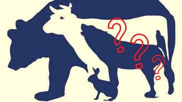Solo las personas con vista de halcón logran descifrar cuántos animales hay en la imagen