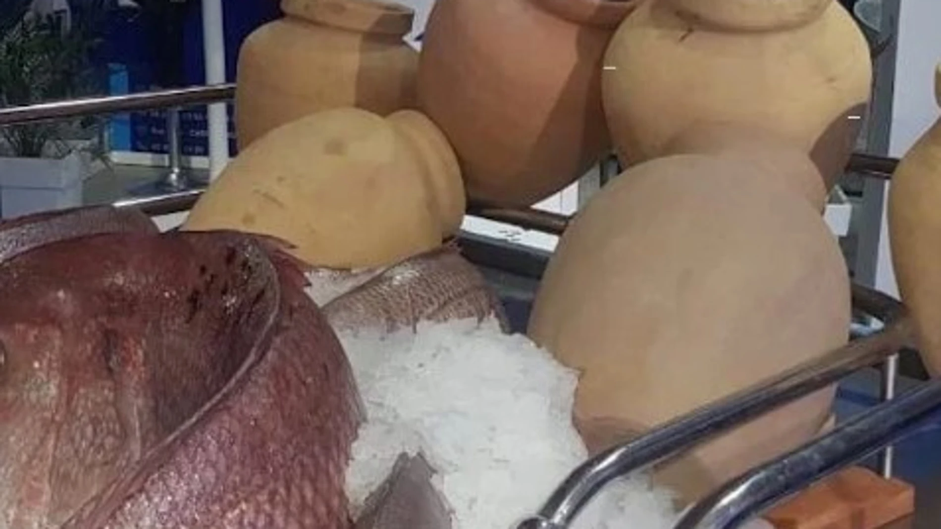 Las vasijas que van a ser utilizadas ahora