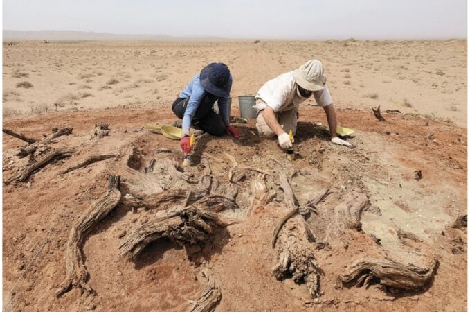 La investigación incluye excavación y prospección en superficie