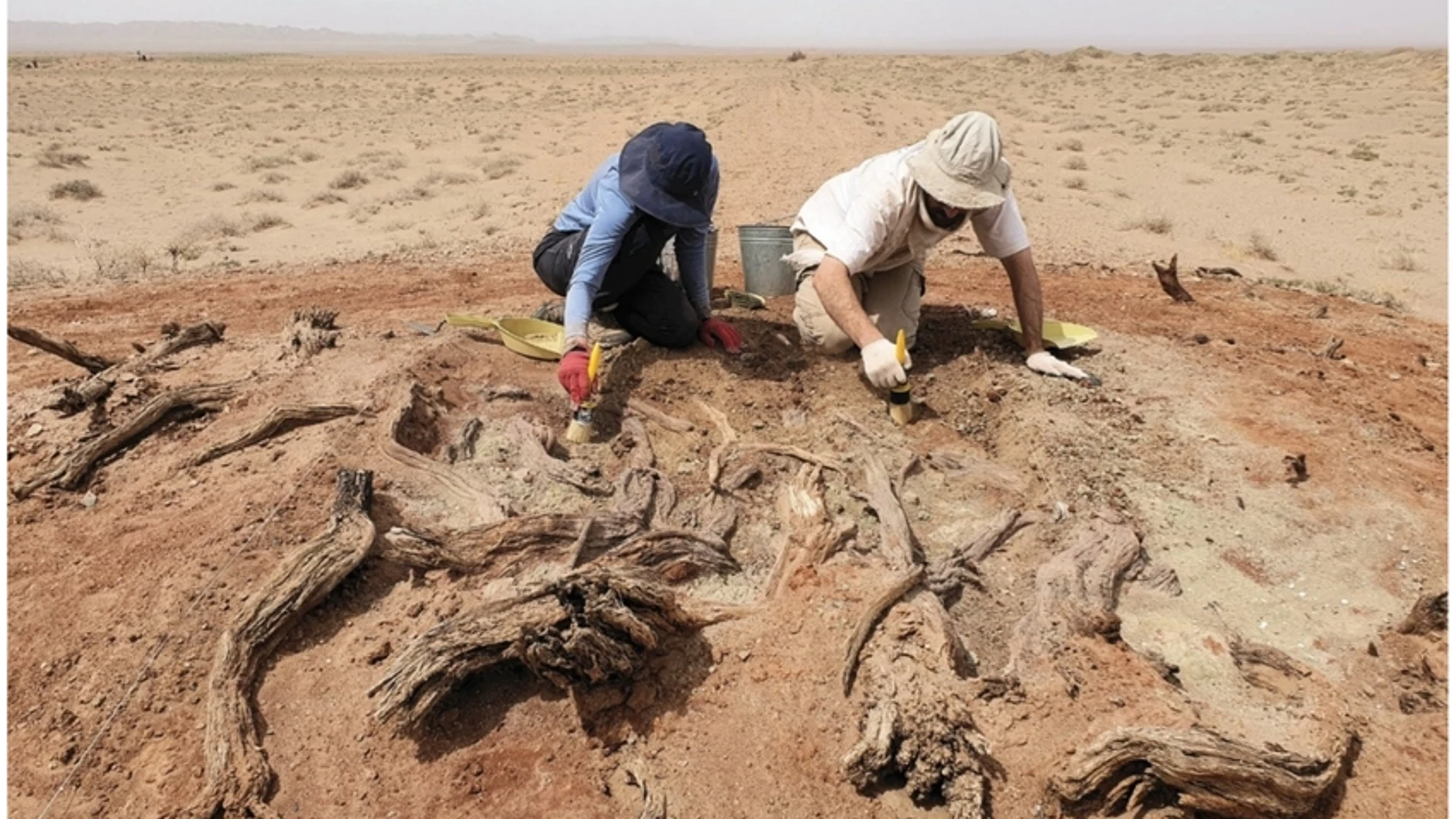 La investigación incluye excavación y prospección en superficie