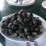 Bocarte, bugre, bígaros y llámparas; las cuatro nombres con los que se conocen los tres mejores manjares del mar en Asturias