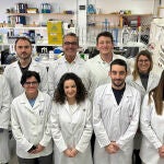 Equipo de la investigación