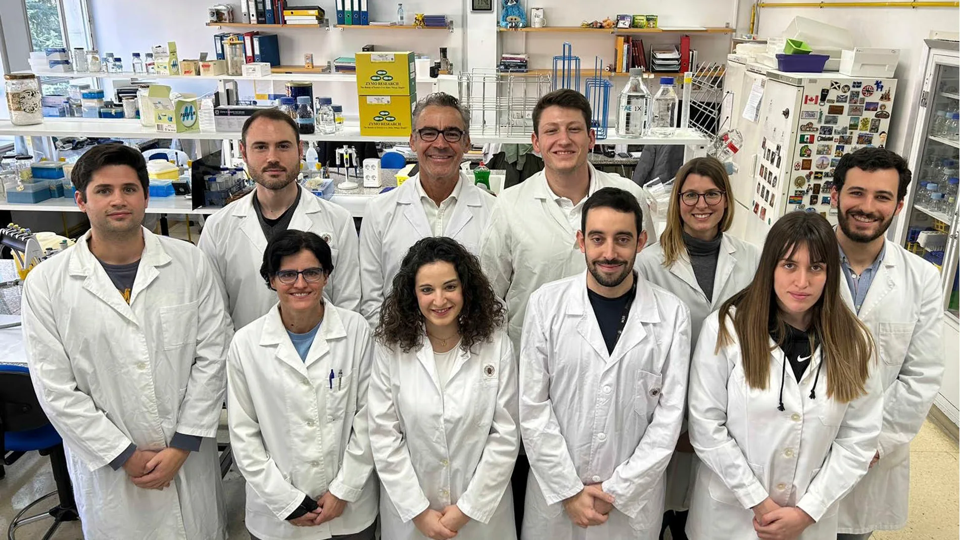 Equipo de la investigación
