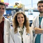 De izquierda a derecha tres de los investigadores implicados en el estudio: David Sancho, Annalaura Mastrangelo e Iñaki Robles. 