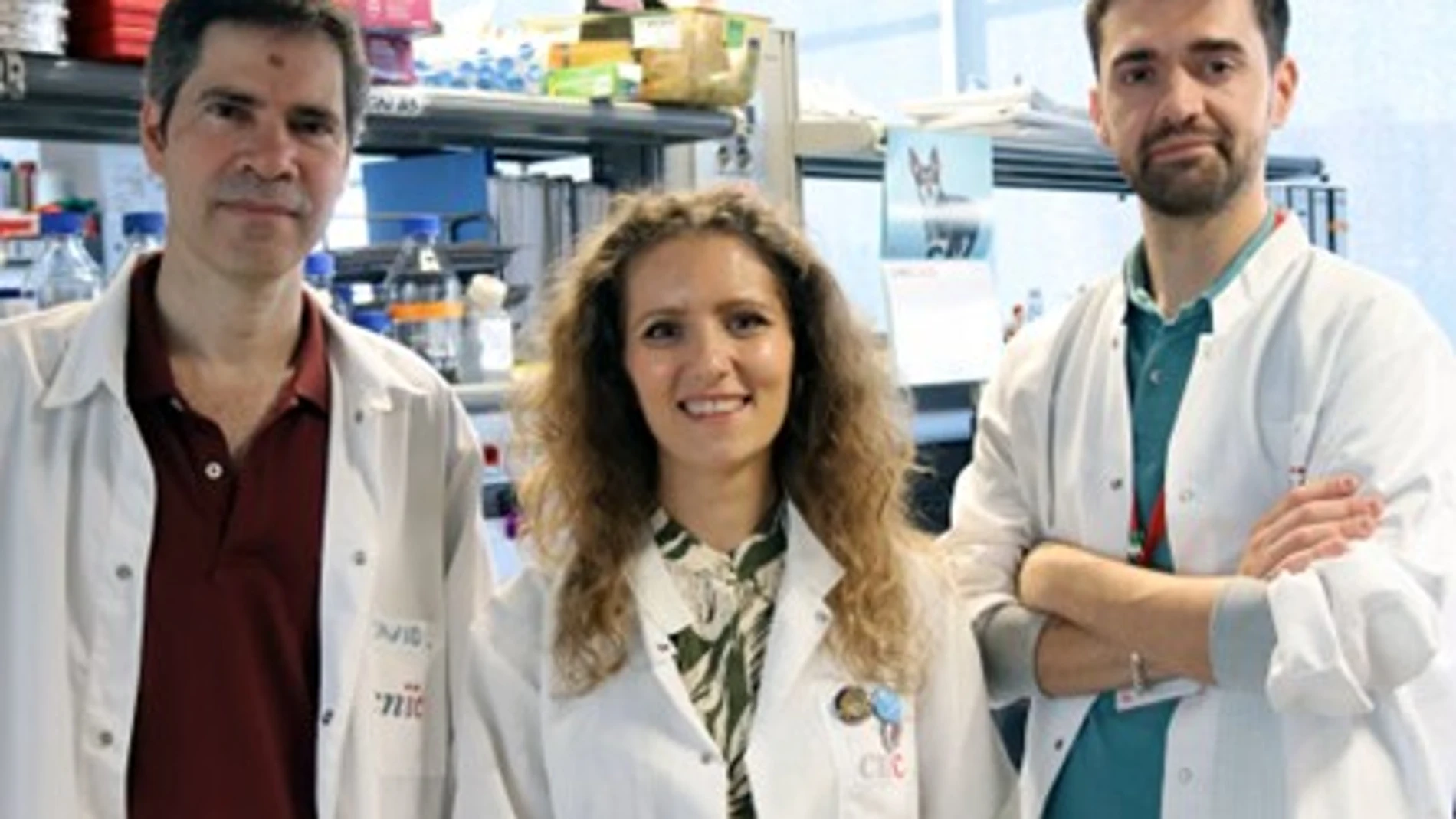 De izquierda a derecha tres de los investigadores implicados en el estudio: David Sancho, Annalaura Mastrangelo e Iñaki Robles.