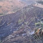 Estabilizado un conato de incendio en Gáldar, tras una rápida actuación de los equipos de emergencia