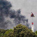 Incendio forestal declarado en el término municipal de Navaluenga (Ávila)