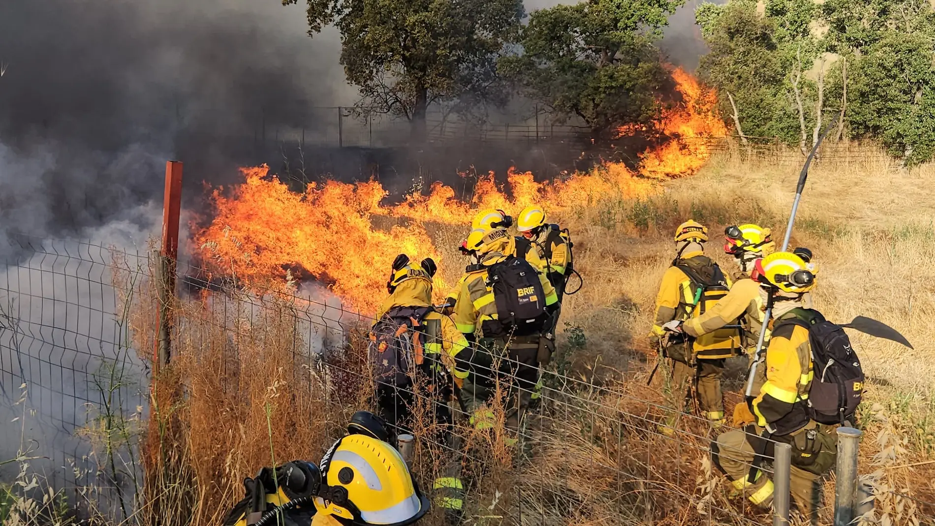 Labores de ataque directo en el incendio por bomberos forestales de la Comunidad de Madrid junto a la BRIF de la Iglesuela