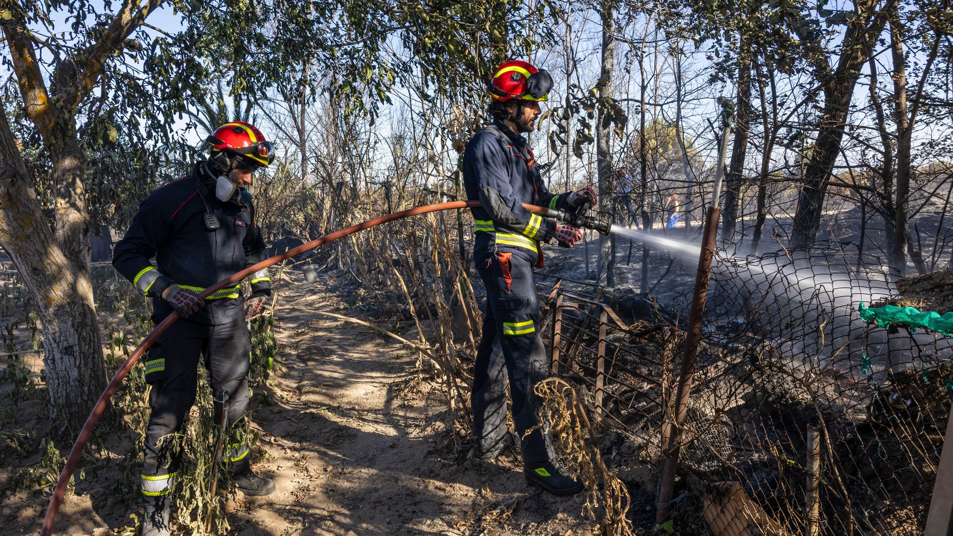 MÉNTRIDA (TOLEDO), 18/07/2025.-Los bomberos trabajan el campo quemado en la localidad toledana de Méntrida este viernes, que atraviesa horas de "calma tensa" a la espera de ver cómo evoluciona el incendio forestal declarado este jueves y que afecta a la provincia de Toledo y a la Comunidad de Madrid, que se encuentra ya perimetrado al 95 %.- EFE/Ángeles Visdómine