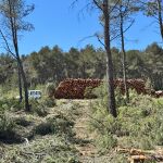 Parte de la madera subastada de los montes de Tuéjar