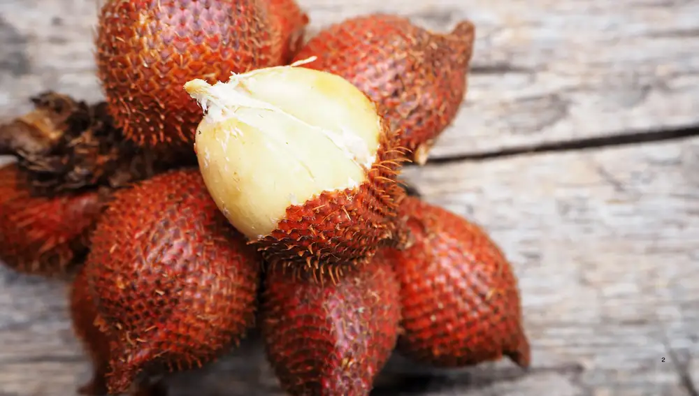 Fruta de serpiente