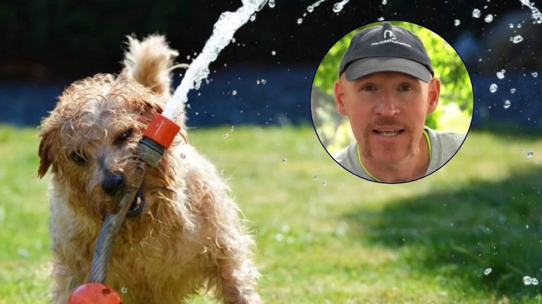 Alan Peiró, experto en adiestramiento canino