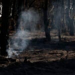 El incendio de Méntrida (Toledo) que afecta a Madrid sigue activo aunque perimetrado