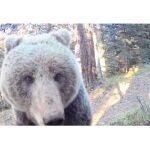 Uno de los animales protagonistas del vídeo de Aleix