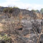 Preocupación en León por un incendio de pastos junto al hospital: intervienen incluso medios aéreos