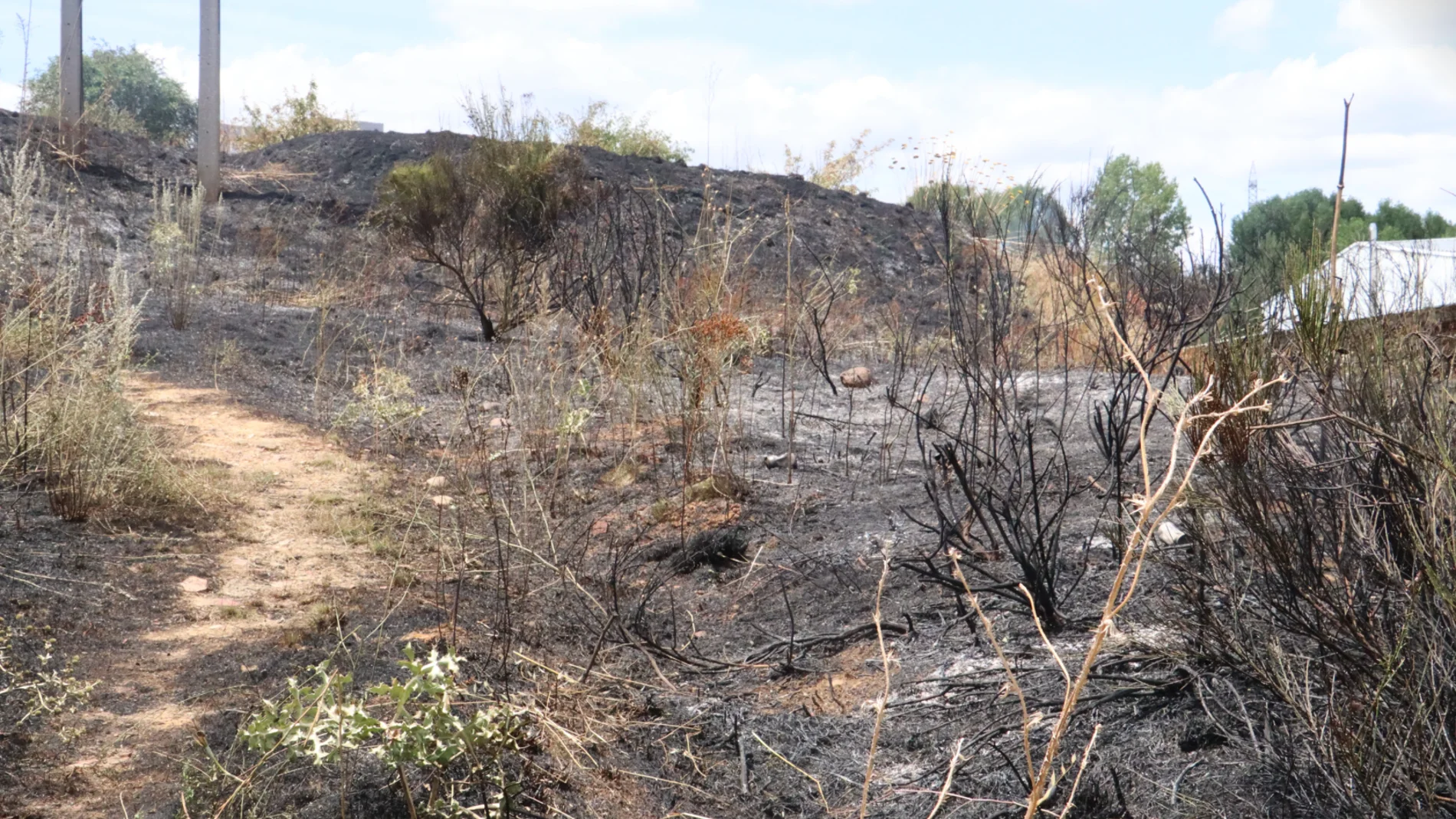 Preocupación en León por un incendio de pastos junto al hospital: intervienen incluso medios aéreos