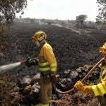Tareas de extinción del incendio forestal de Castillejo de Martín Viejo (Salamanca) 