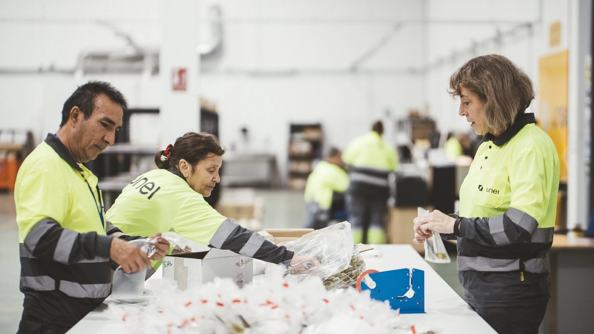 La empresa sin ánimo de lucro UNEI tiene como objetivo la inclusión laboral de personas con discapacidad