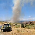 Incendio de vegetación en la Ribera de San Pedro de Arroyomolinos