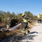 Incendio forestal declarado en el término municipal de Navaluenga (Ávila)
