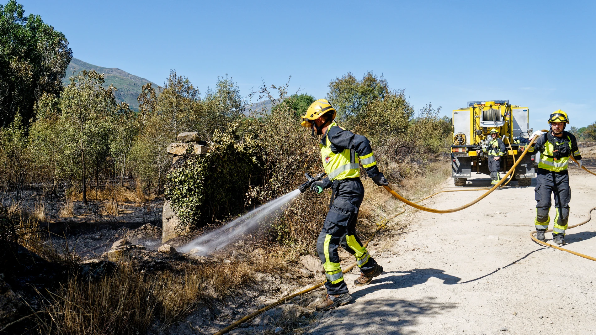 NAVALUENGA (ÁVILA), 19/07/2025.- Efectivos luchan contra las llamas del incendio forestal declarado en el término municipal de Navaluenga (Ávila), este sábado. EFE/ Raúl Sanchidrián