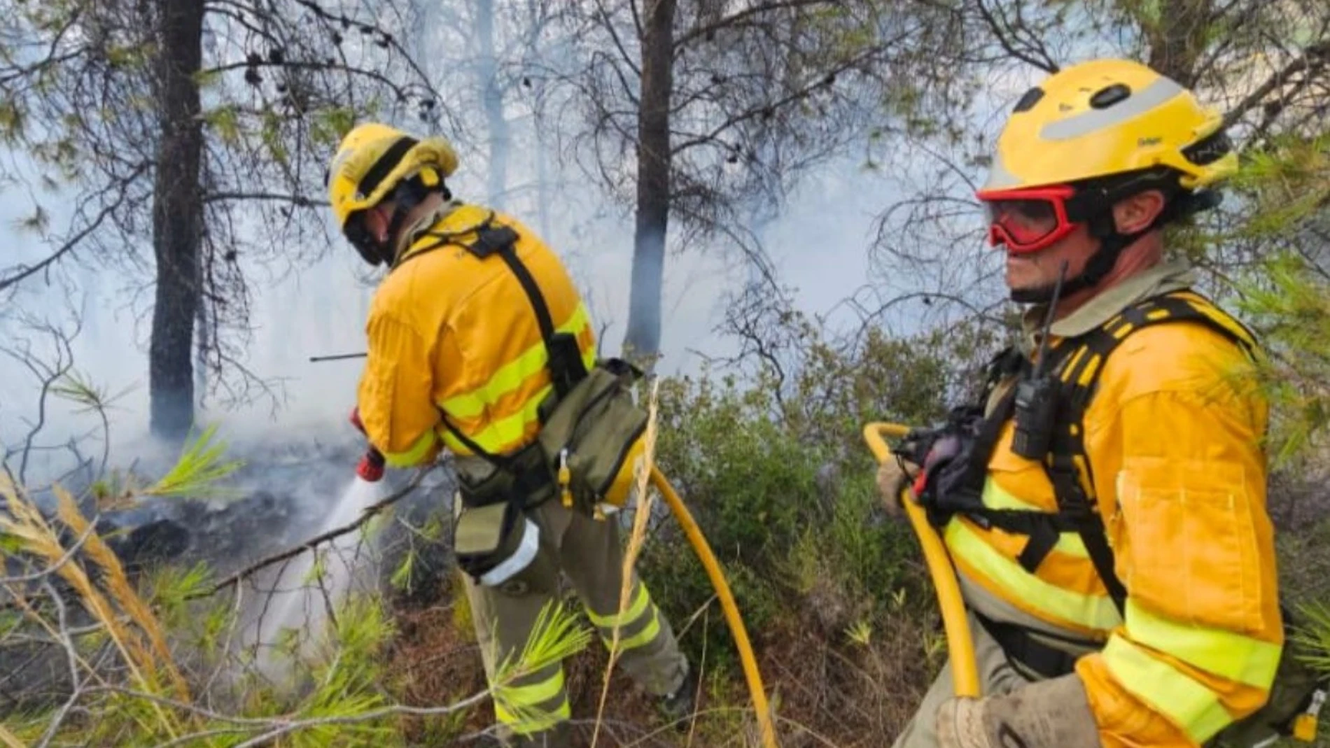 Imagen cedida por Brigadas Forestales REMITIDA / HANDOUT por 1-1-2 Fotografía remitida a medios de comunicación exclusivamente para ilustrar la noticia a la que hace referencia la imagen, y citando la procedencia de la imagen en la firma 19/07/2025