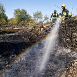 Incendio forestal declarado en el término municipal de Navaluenga (Ávila)