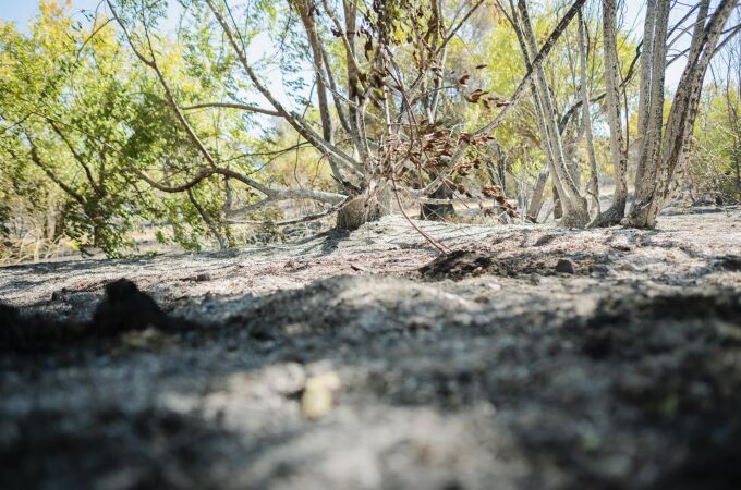 MADRID.-Incendios.- El incendio forestal de Méntrida se da por controlado