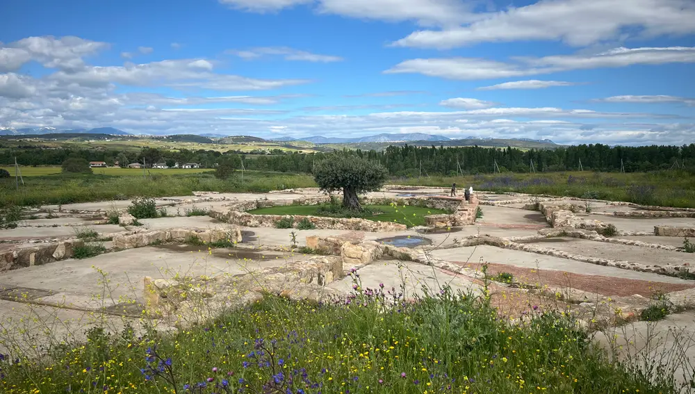 El yacimiento arqueológico