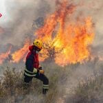 Incendios.- Bomberos perimetran el incendio de Ibi, pero están alerta ante la posible reproductividad por calor y viento