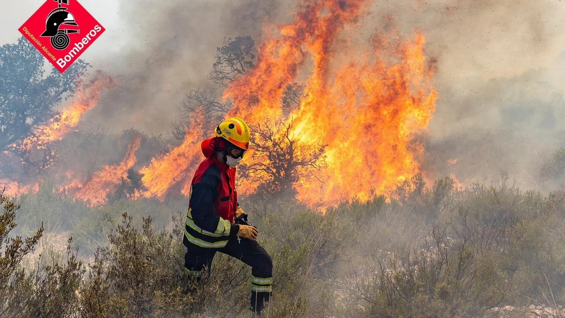 Incendios.- Bomberos perimetran el incendio de Ibi, pero están alerta ante la posible reproductividad por calor y viento
