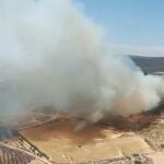 Incendio forestal en Villena, en la provincia de Alicante.