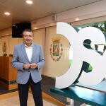 El presidente de a Diputación de Sevilla, Francisco Javier Fernández