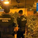 Imagen de la intervención desarrollada por la Policía Local de Abarán y la Guardia Civil